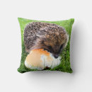 Zoek naar egels kussens Dieren