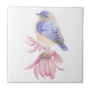 Recherche de oiseau rose carreaux Animal