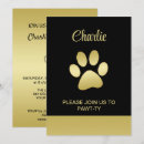 Recherche de chien noir invitations Patte