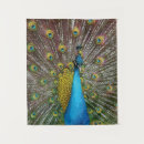 Recherche de plumage art Bleu