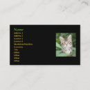 Recherche de de chaton cartes visite Élégant