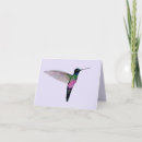Recherche de colibri bleu vœux cartes Oiseau