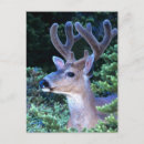 Recherche de olympe posters Alpin