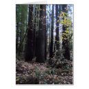 Recherche de humboldt cartes postales Paysage