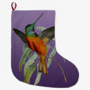 Recherche de colibri chaussette de noël Tropical
