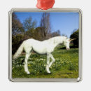 Zoek naar unicorn ornamenten Dier