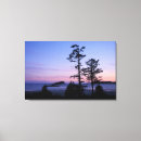 Recherche de île de vancouver art Nature