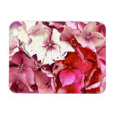 Recherche de flore refrigérateur magnets Fleurs