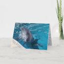 Recherche de beau dauphin vœux cartes Dauphins