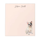 Recherche de french bulldog Pour elle