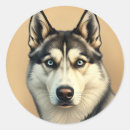 Recherche de yeux bleus autocollants Portrait