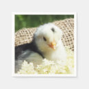 Zoek naar kippen kip servetten Dieren