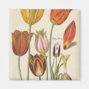 Recherche de ampoule magnets Tulipe