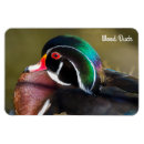 Recherche de aix magnets Oiseau