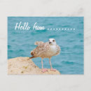 Recherche de bonjour cartes postales Italie