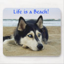 Zoek naar siberian husky muismatten Husky's