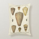 Zoek naar sepia kussens Seashell schilderij