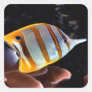 Recherche de aquarium autocollants Barrière de corail