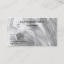 Recherche de chien yorkie cartes visite Terrier de yorkshire