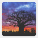 Zoek naar afrikaanse zonsondergang stickers Silhouet