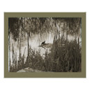 Zoek naar bedreigde dieren posters Kunst