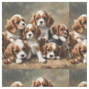 Zoek naar spaniel stoffen Puppy