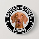 Recherche de lapin drôle badges Animal
