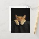 Recherche de lit de chat cartes postales Mignon