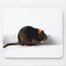 Recherche de rat blanc tapis souris Animal