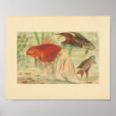 Recherche de poisson rouge art Tropical