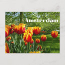 Recherche de jardin botanique cartes postales Pays bas