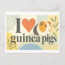 Recherche de cochons cartes postales Cochon d'inde