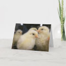 Zoek naar pepe kaarten Schattig