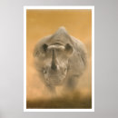 Recherche de mis en danger posters Faune