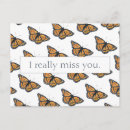 Recherche de joli papillon cartes postales Belle
