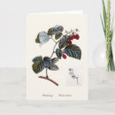 Recherche de botanique vintage vœux cartes Flore