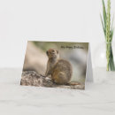 Zoek naar marmot kaarten Dier