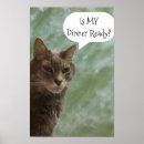 Zoek naar grappige kattenfoto posters Humor