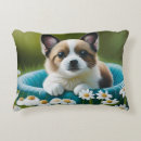 Recherche de petits chiens coussins Fleurs