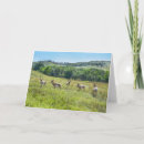 Recherche de dakota vœux cartes Parc d'état client