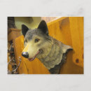 Recherche de tête de loup cartes postales Faune
