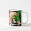 Recherche de champignon classiques tasses Gélosé