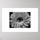 Zoek naar bloemen afbeeldingen posters Tuin