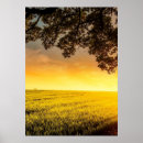 Recherche de paysages ruraux posters Crépuscule