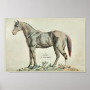 Recherche de topographie posters Illustration