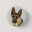 Recherche de berger badges Amoureux des chiens