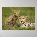 Recherche de contact art Nature