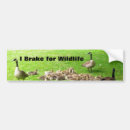 Recherche de faune voiture autocollants Oiseaux