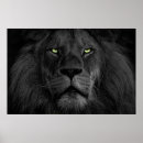 Recherche de crinière posters Noir et blanc