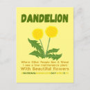 Recherche de mauvaises herbes cartes postales Pour tous